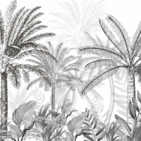 Papel pintado panorámico en blanco y negro de árboles de la selva