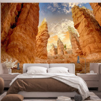 Papel pintado Desert Roche Panoramic