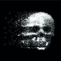 Papel pintado panorámico Skull Art