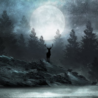 Ciervo del bosque Papel pintado panorámico