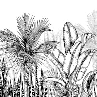 Papel pintado panorámico Jungle en blanco y negro 4