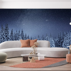 Papel pintado para salón