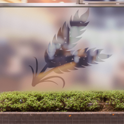 Pan de trigo Panadería Privacidad Film para ventanas