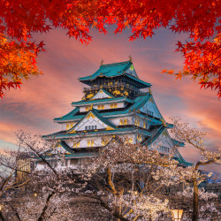 Papel pintado panorámico del templo japonés