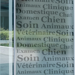 Veterinario Tienda Privacidad Película para ventanas