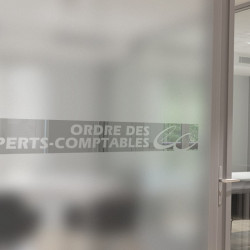 Censor jurado de cuentas 2 Privacidad Lámina para ventanas