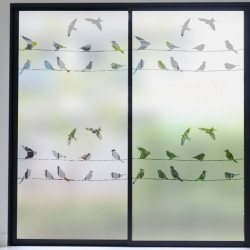 Pájaros en línea Privacidad Lámina para ventanas