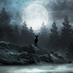 Ciervo del bosque Papel pintado panorámico