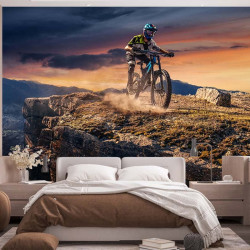 Papel pintado panorámico VTT