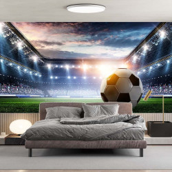 Papel pintado panorámico Football 2