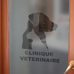 Clínica veterinaria Logo Privacidad Lámina para ventanas