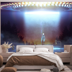 Alien Flying Saucer Papel pintado panorámico