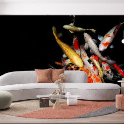 Peces Carpa koi Papel pintado panorámico