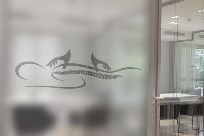 Osteopatía Fisioterapia Privacidad Láminas para ventanas