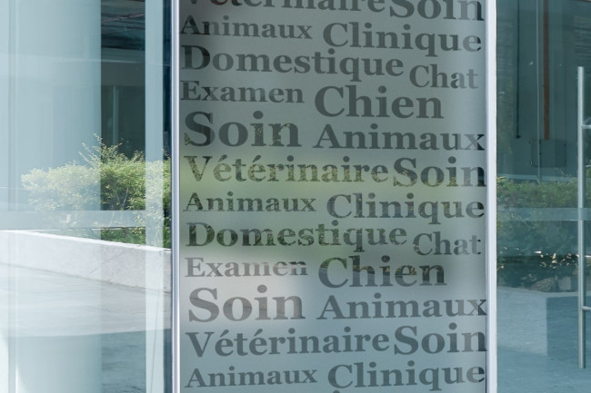 Veterinario Tienda Privacidad Película para ventanas