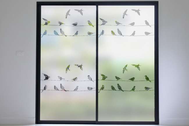 Pájaros en línea Privacidad Lámina para ventanas