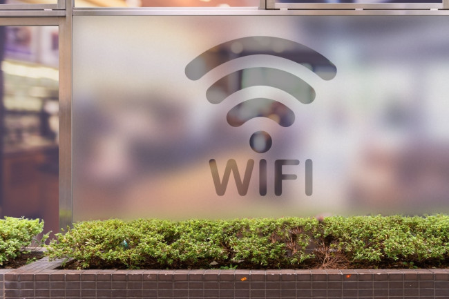 Logotipo WIFI 2 Privacidad Lámina para ventanas