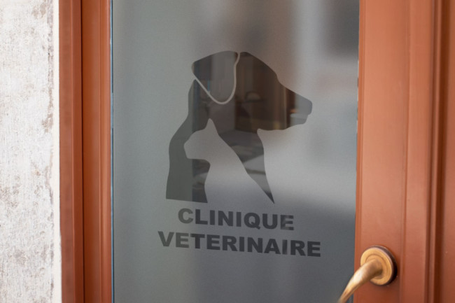 Clínica veterinaria Logo Privacidad Lámina para ventanas
